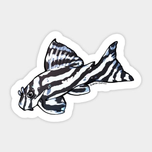 Zebra Pleco L46 Sticker